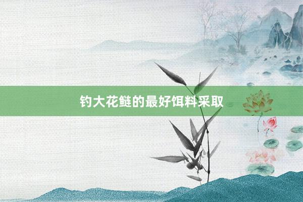 钓大花鲢的最好饵料采取