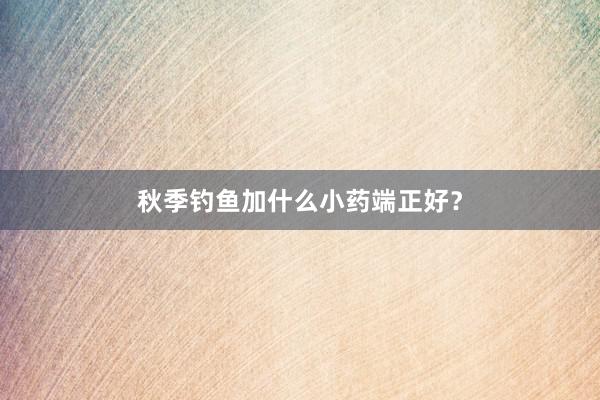 秋季钓鱼加什么小药端正好？