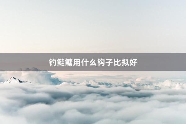 钓鲢鳙用什么钩子比拟好